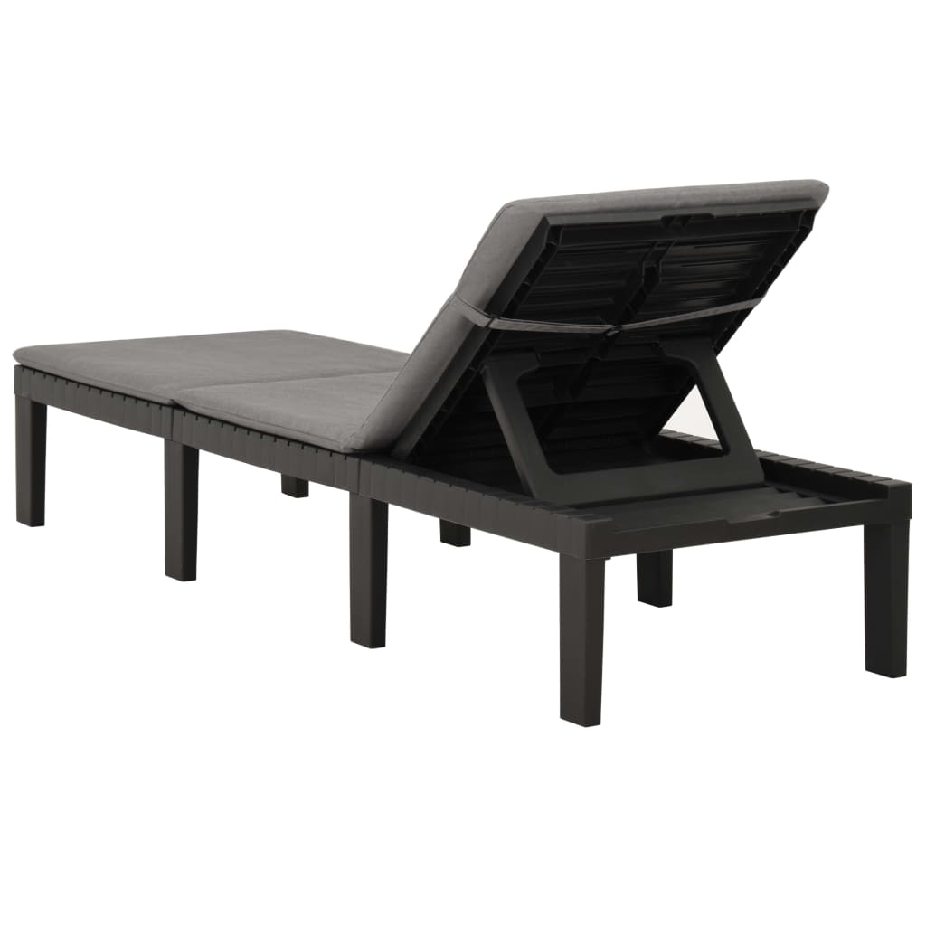 vidaXL Sun Lounger with Cushion Plastic Anthracite-5