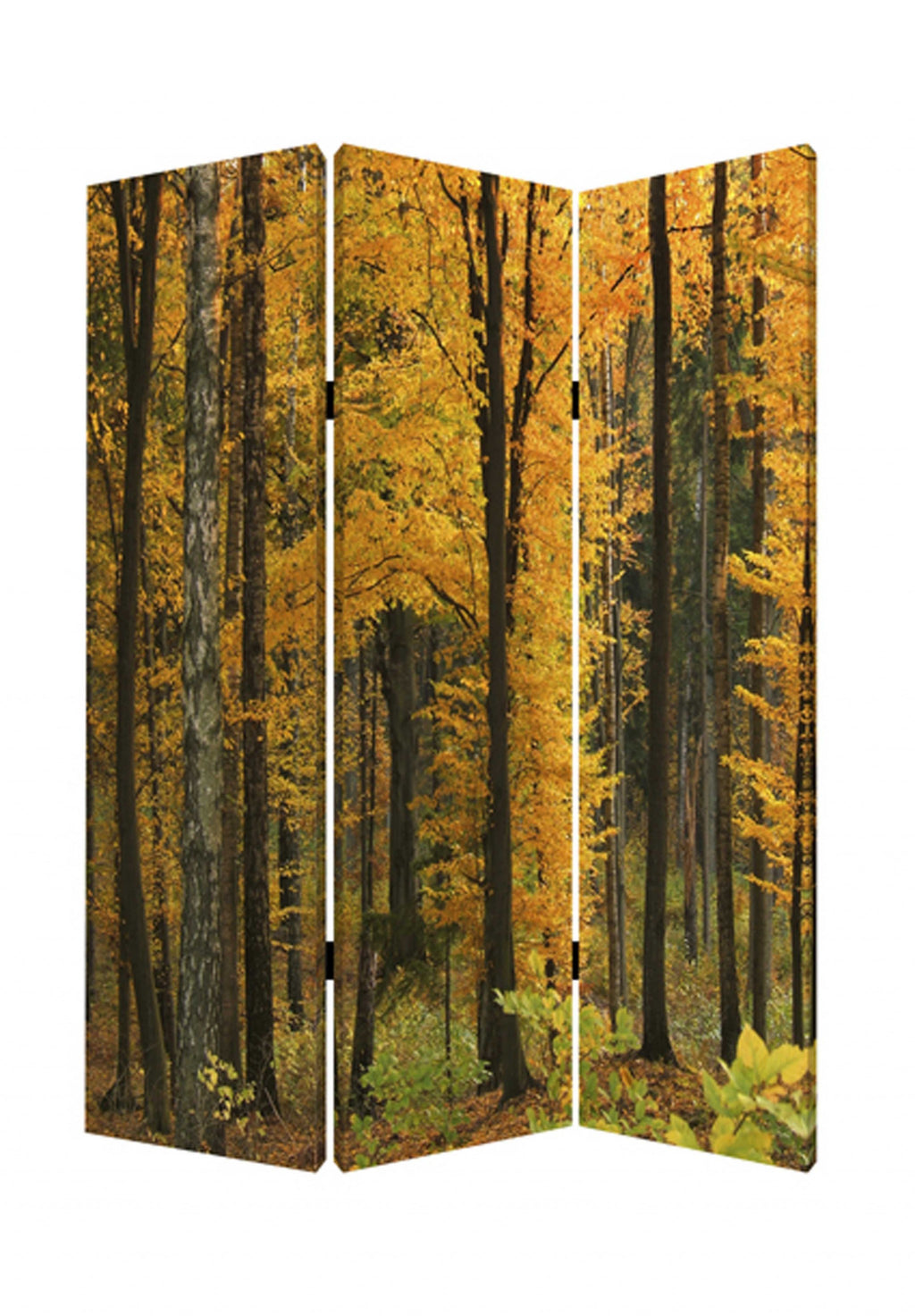 1 X 48 X 72 Multi Color Wood Canvas Autumn Journey  Screen - 99fab 