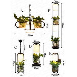 Creative Hydroponic Plant Lamp for Stylish Living Rooms and Bedrooms