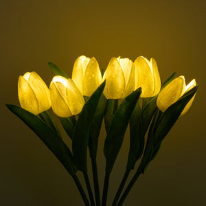 Tulip Glow: LED Flower Light-3