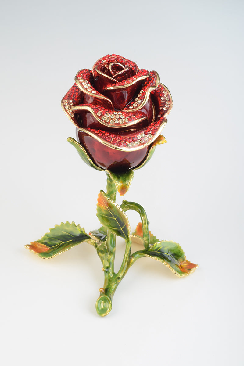 Valentine Red Rose-0