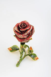Valentine Red Rose-6