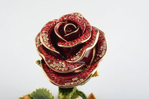 Valentine Red Rose-7