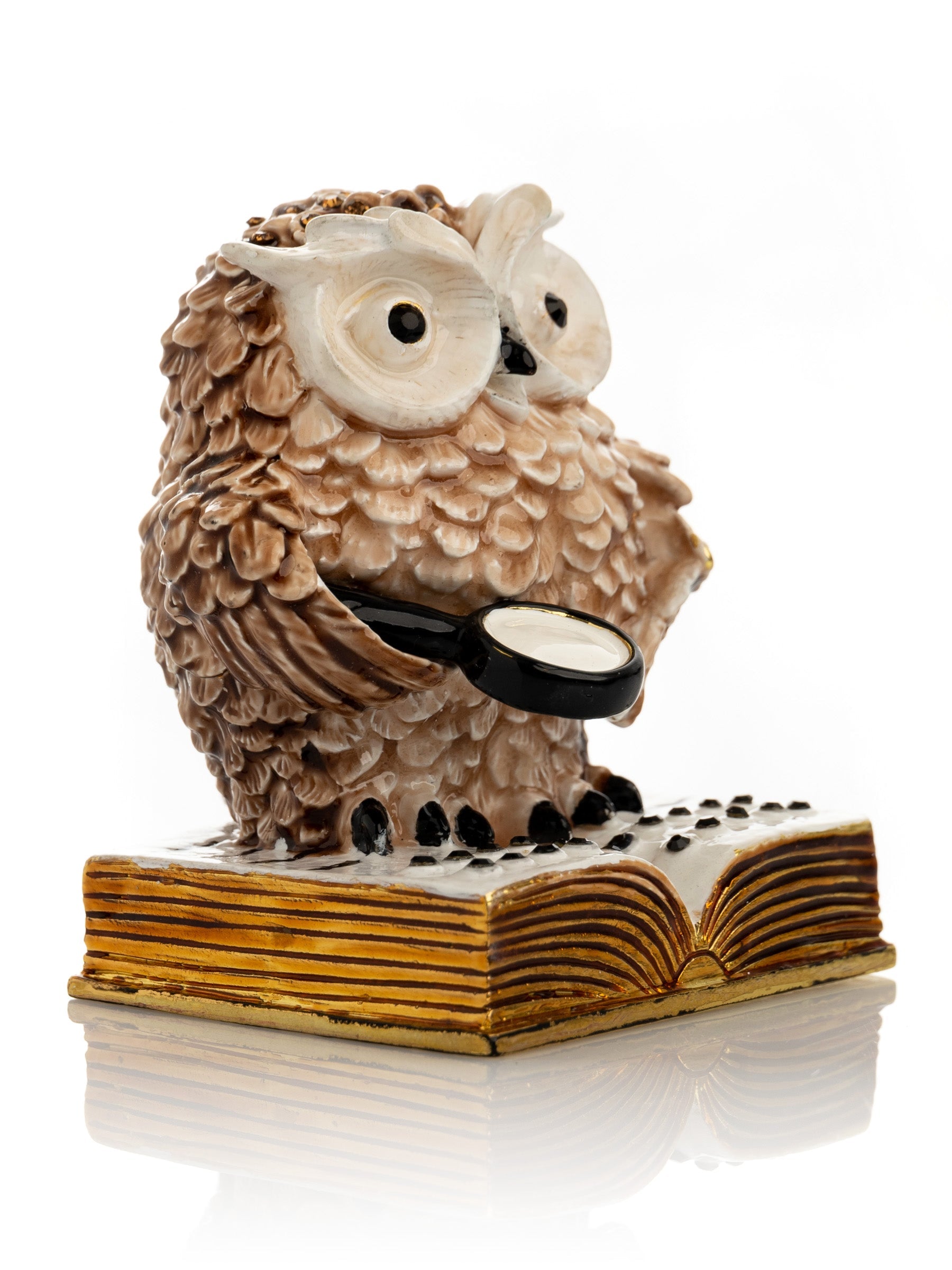 Owl Reading a Book-3