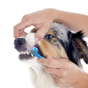 Dog Pet Soft Toothbrush with Three Sided Rubber