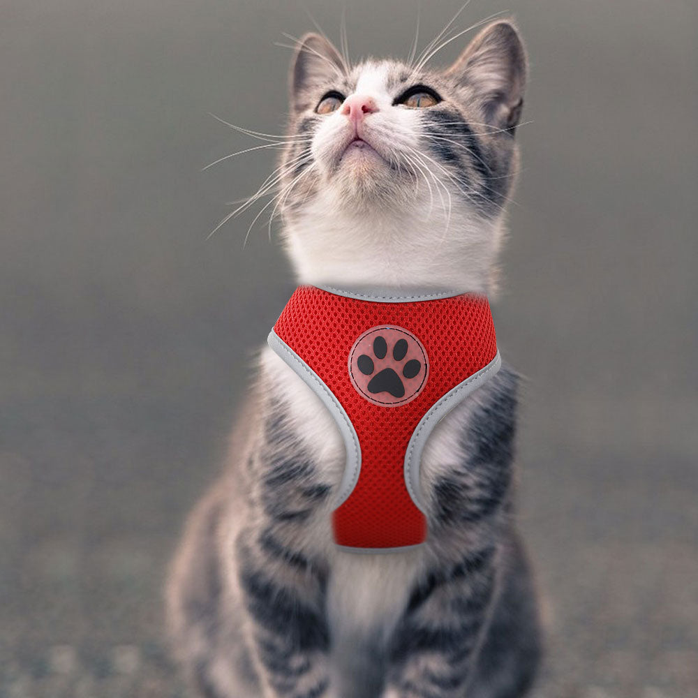 Breathable Paw Print Cat Dog Harness Reflective Vest - 99fab 