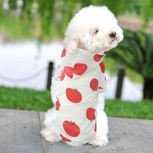 Dog Raincoat Sun-proof Clothing Summer Sun Protection Hoodie Small Dog Clothes