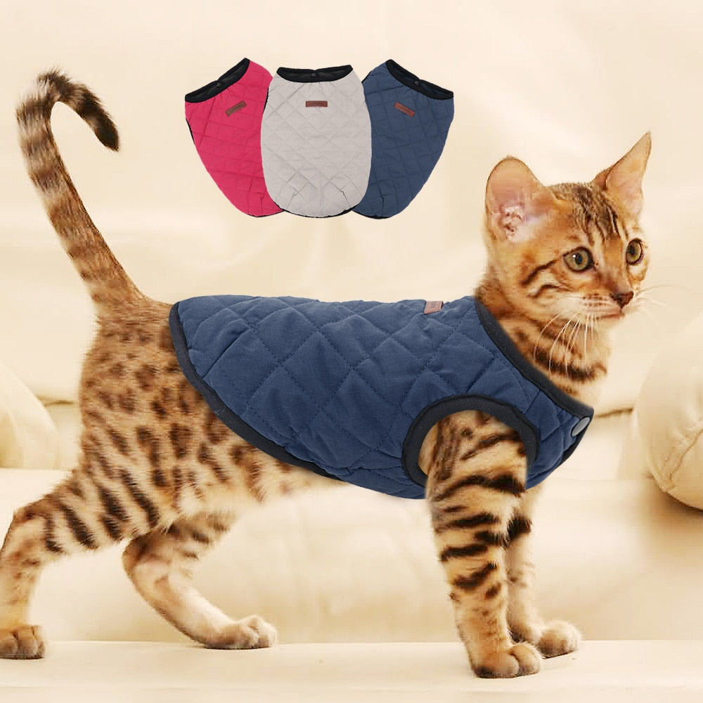 Cat Dog Clothes Chihuahua Kitten Clothes Outfit Vest Winter Clothes - 99fab 