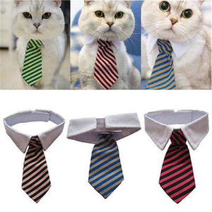 Cat Striped Adjustable Bow Tie - pets - 99fab.com