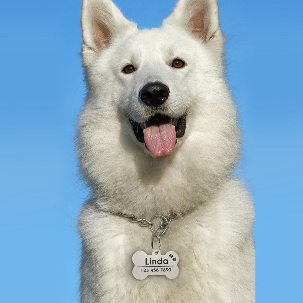 Stainless Steel Personalized Pet Dog ID Tag Anti-lost Free Engraving
