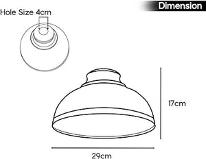 2 Pack Modern Industrial  Lamp Shade With Free Reducer Plate ~1743-2