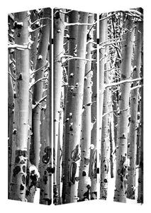 1" X 48" X 72" Multi Color Wood Canvas Birch  Screen