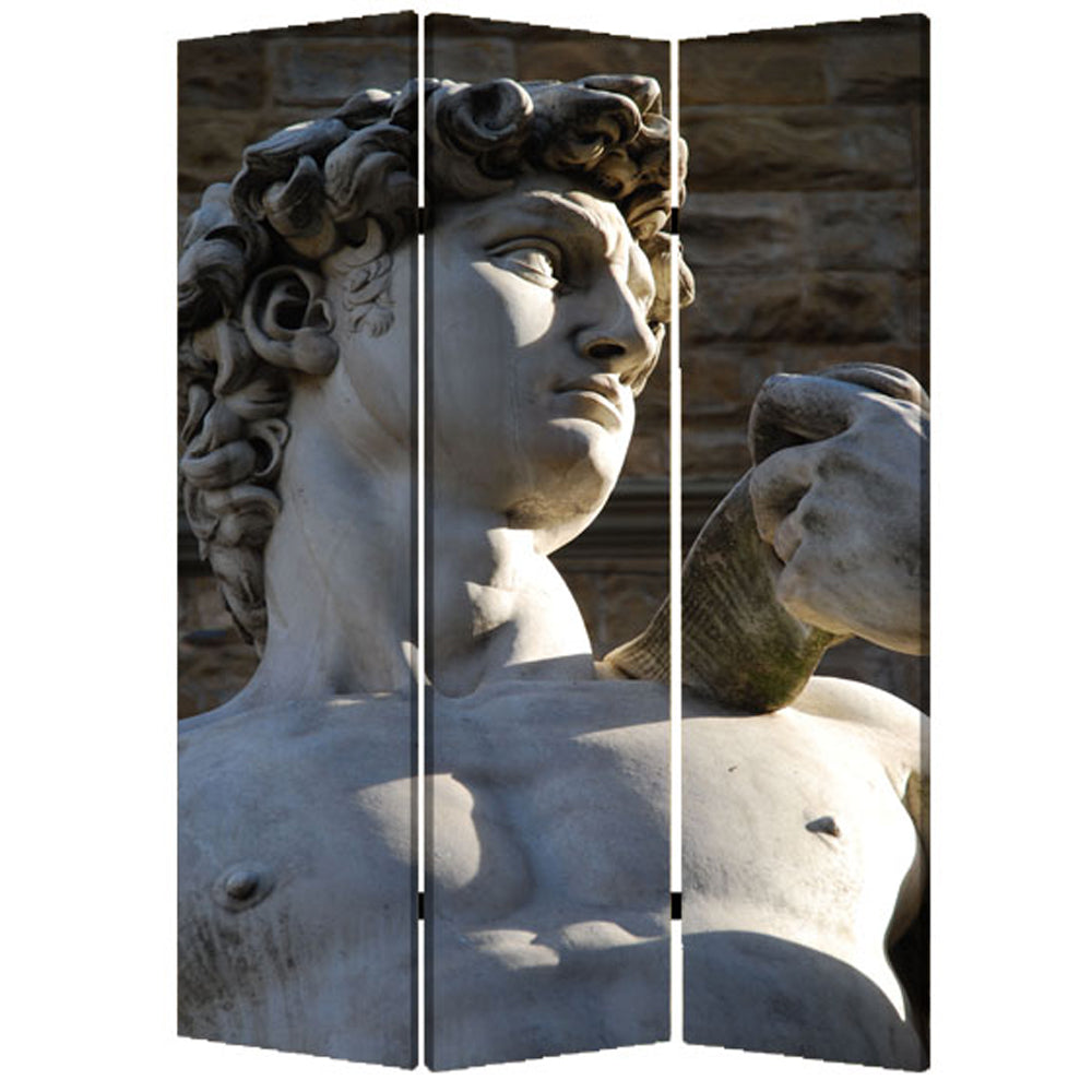 1" X 48" X 72" Multi Color Wood Canvas Rome  Screen