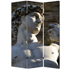 1" X 48" X 72" Multi Color Wood Canvas Rome  Screen