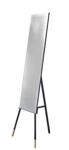 57" Matte Rectangle Cheval Standing Mirror Freestanding With Metal Frame