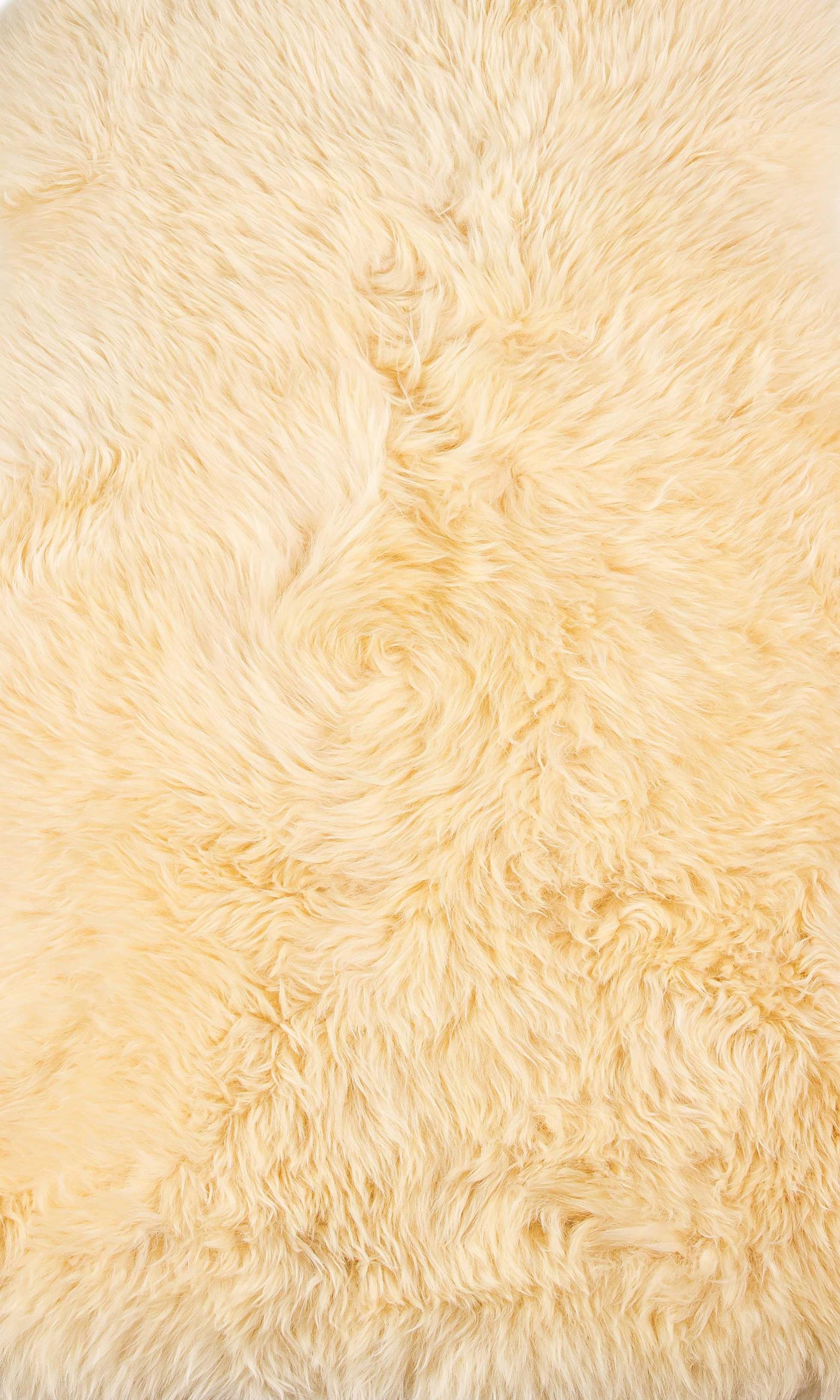 2' X 3' Cream New Zealand Natural Sheepskin Rug