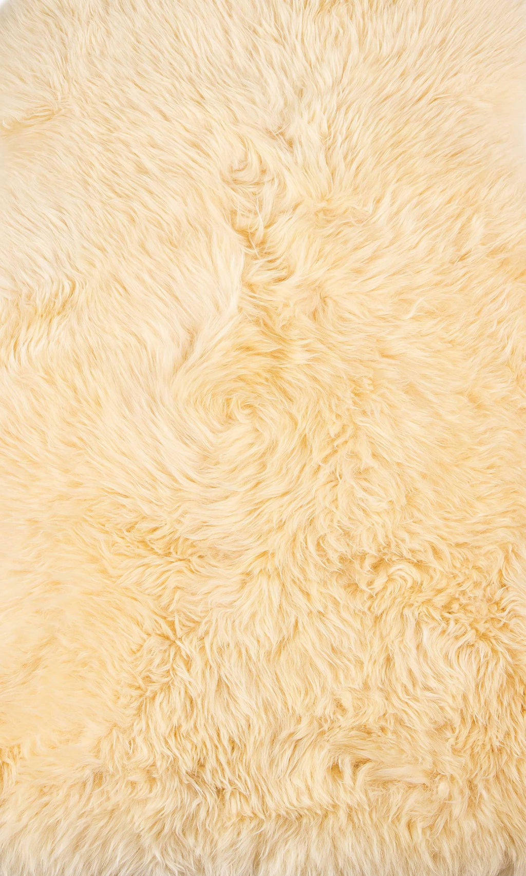 2' X 3' Cream New Zealand Natural Sheepskin Rug - 99fab 