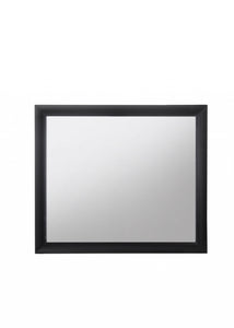 Contemporary Wood Frame Mirror In Black