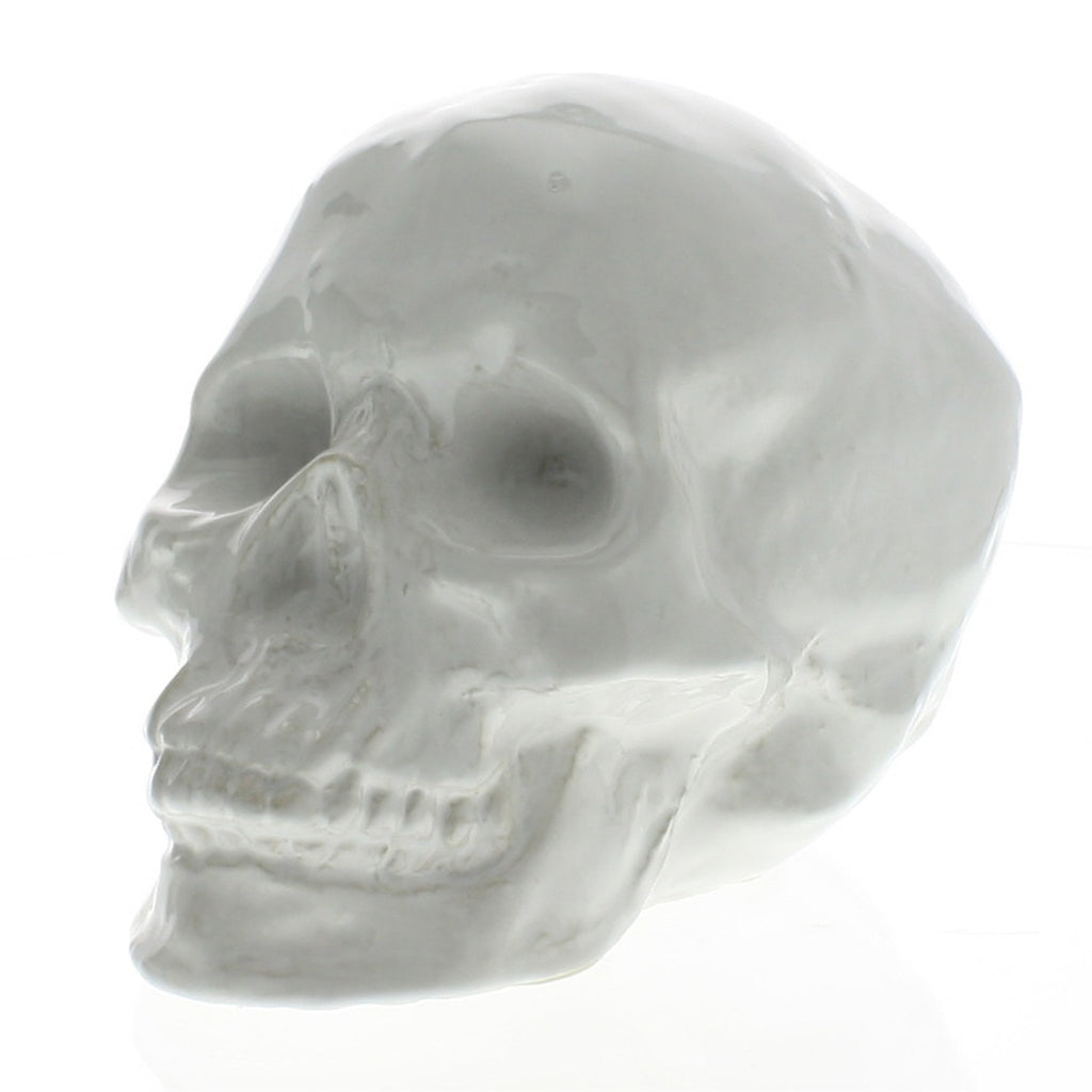 White Ceramic Skull Sculpture - 99fab 