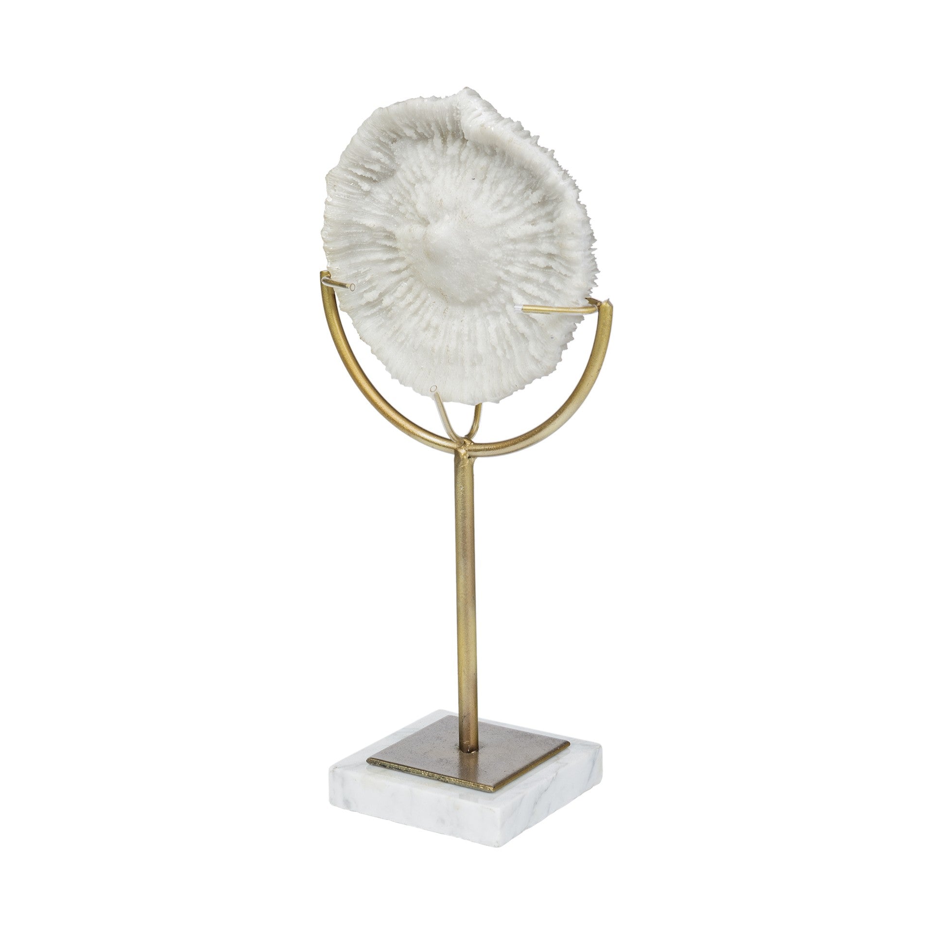 Jumbo White And Gold Coastal Sculpture