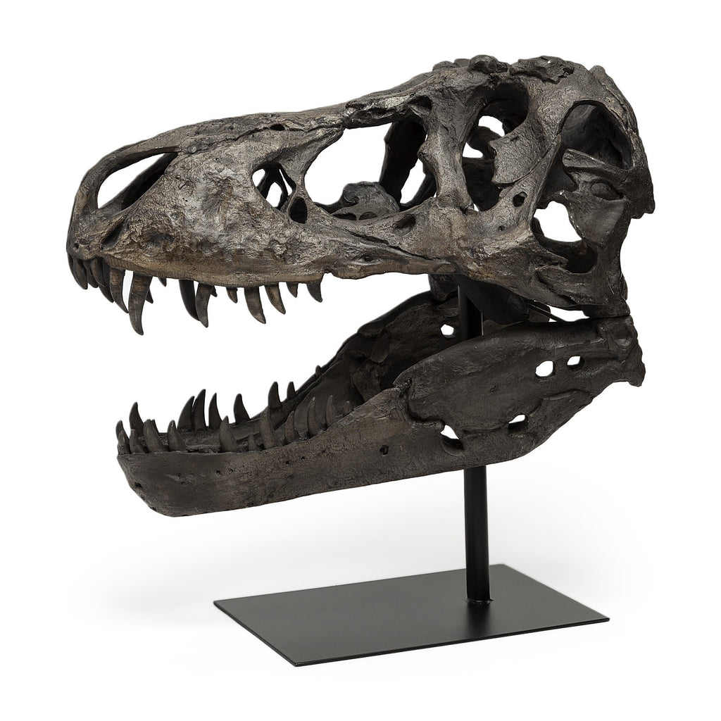 Authentic Replica T Rex Skull Sculpture - 99fab 