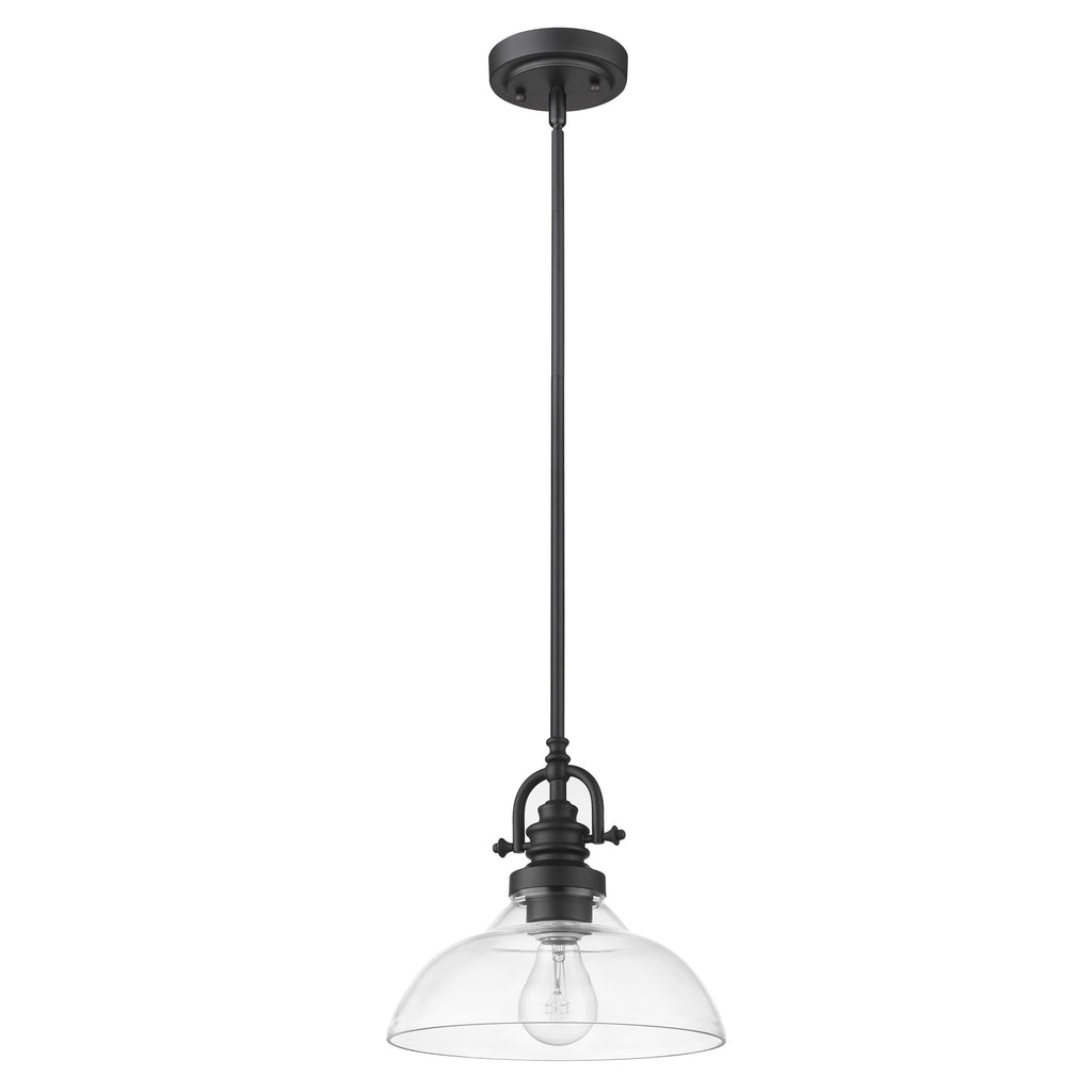 Matte Black Hanging Light with Glass Dome Shade - 99fab 