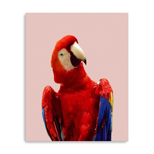 Vibrant And Vivid Bird Unframed Print Wall Art - 99fab 