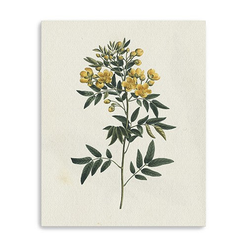 Singular Yellow Blossom Branch Unframed Print Wall Art - 99fab 