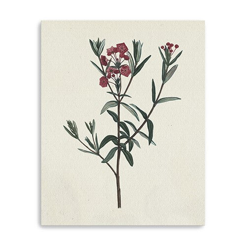 Singular Red Blossom Branch Unframed Print Wall Art - 99fab 