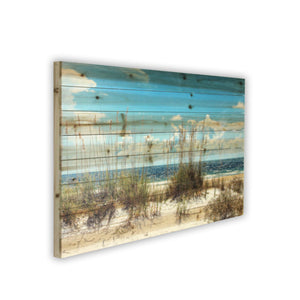 Ocean Sand Dunes Unframed Photograph Wall Art