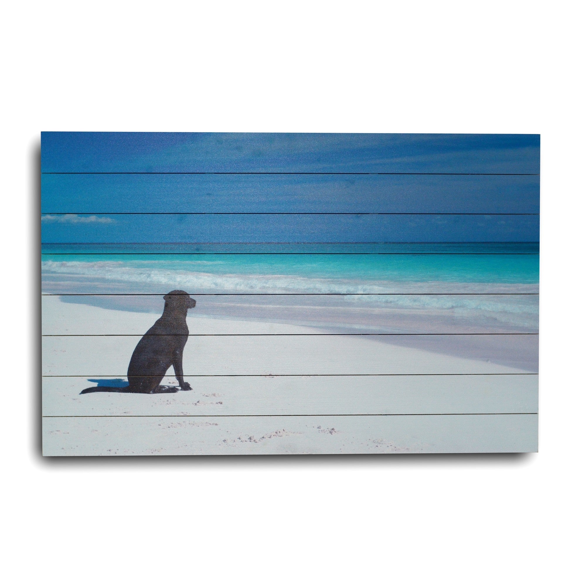 Energetic Dog At The Beach Unframed Photograph Wall Art