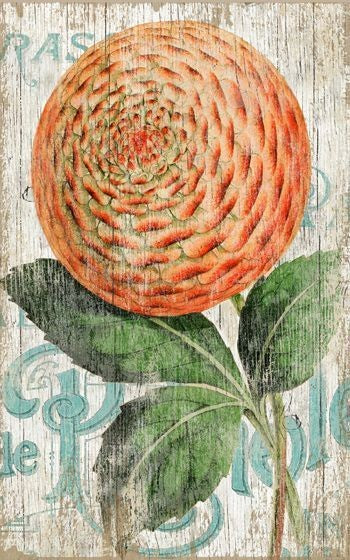 Orange Zinnia Flower Wall Art - 99fab 