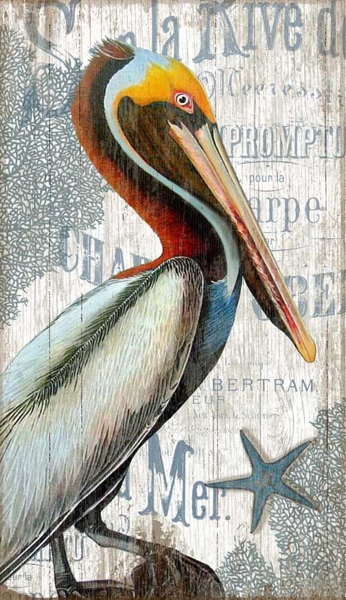 Colorful Pelican Wall Décor - 99fab 