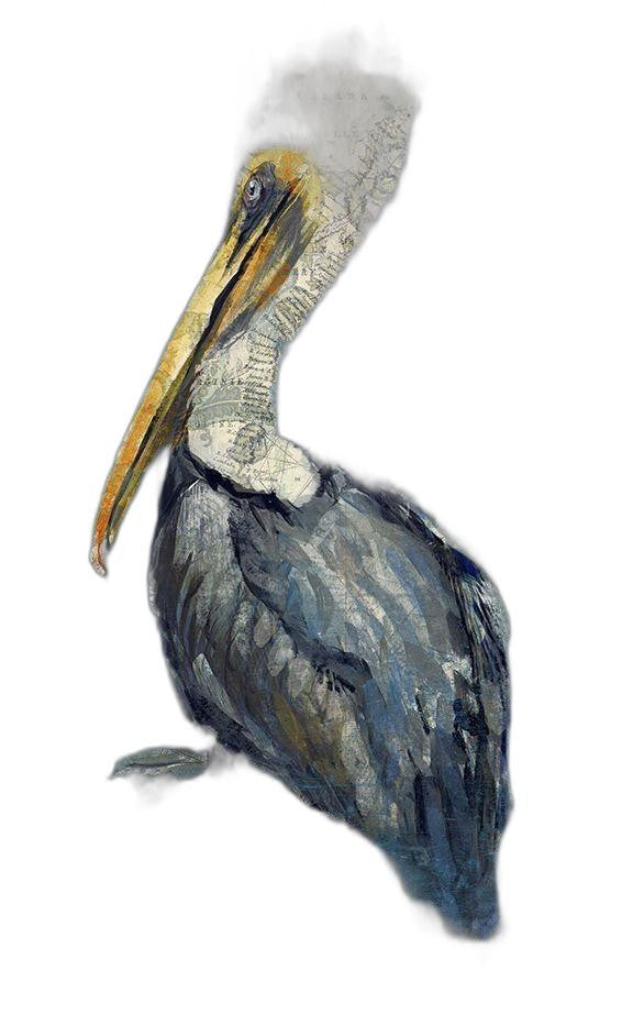 Blue Watercolor Pelican Wall Art - 99fab 