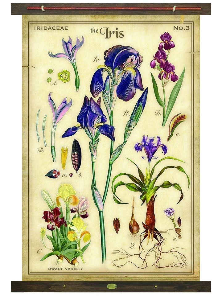 The Iris Arrangement Tapestry Wall Décor - 99fab 