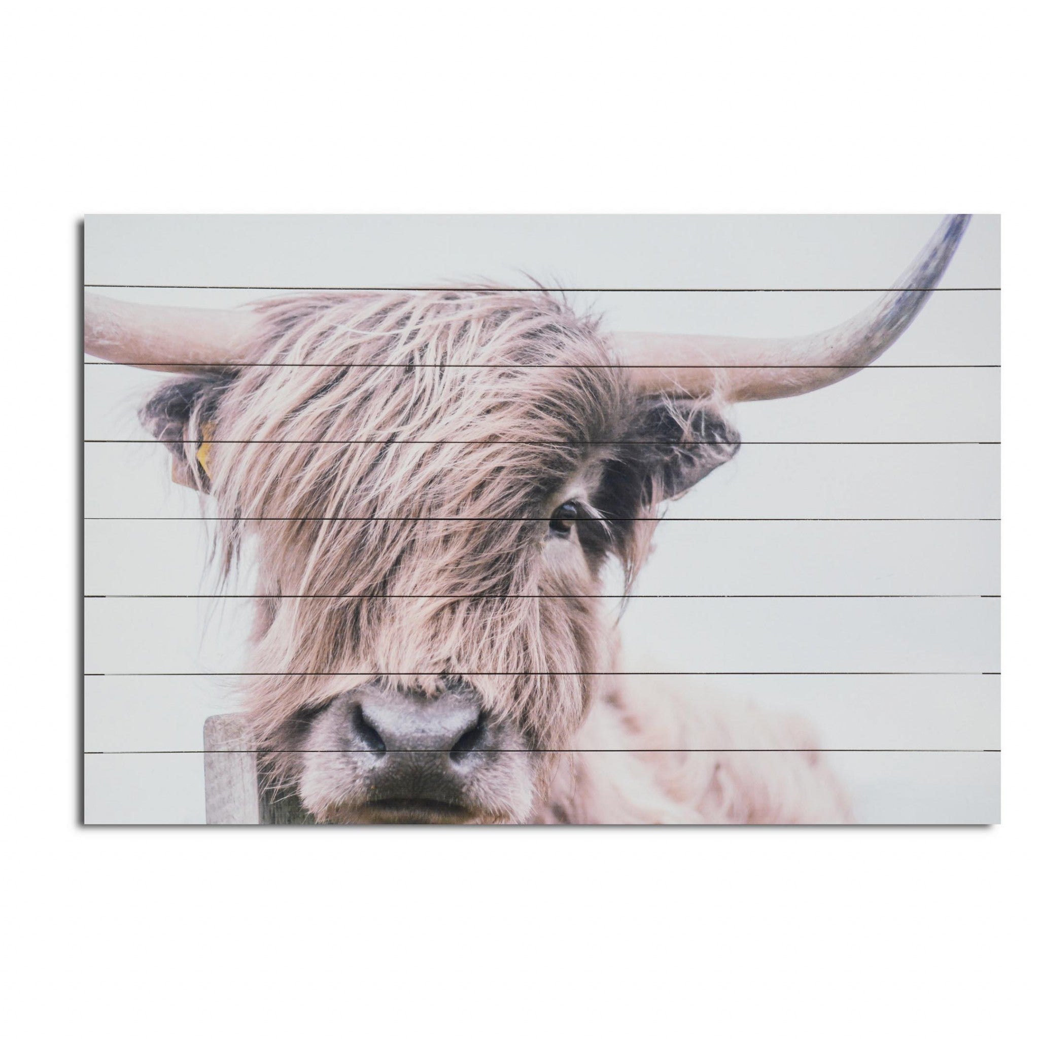 Adorbale Highland Cow Wood Plank Wall Art