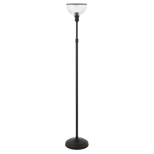 65" Black Novelty Floor Lamp With Clear Transparent Glass Dome Shade