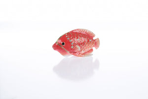 Red Snapper Fish trinket box