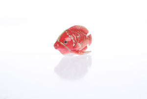 Red Snapper Fish trinket box