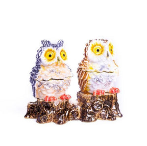 Two Owls Sitting on Tree Trunk