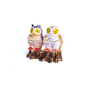 Two Owls Sitting on Tree Trunk