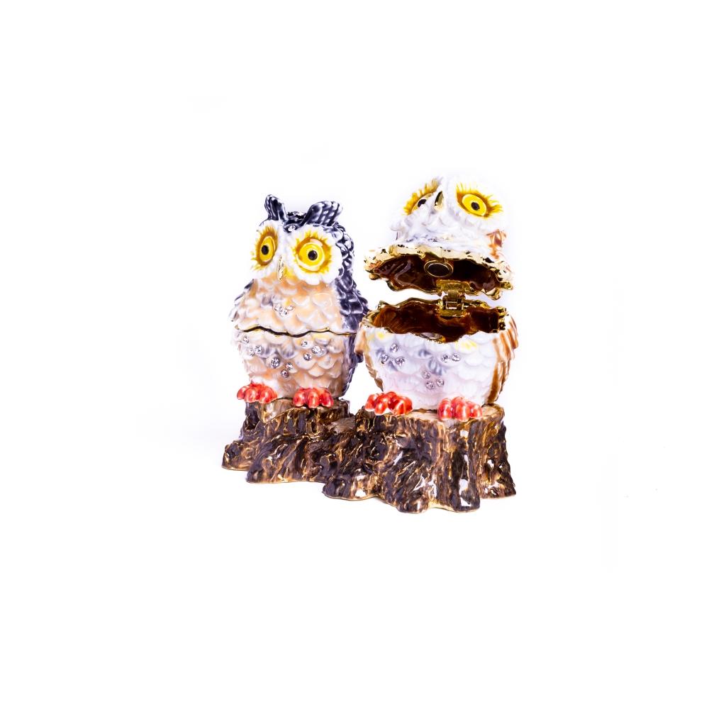 Two Owls Sitting on Tree Trunk