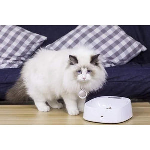 Instachew PETKIT Fresh Bowl, Built-in scale