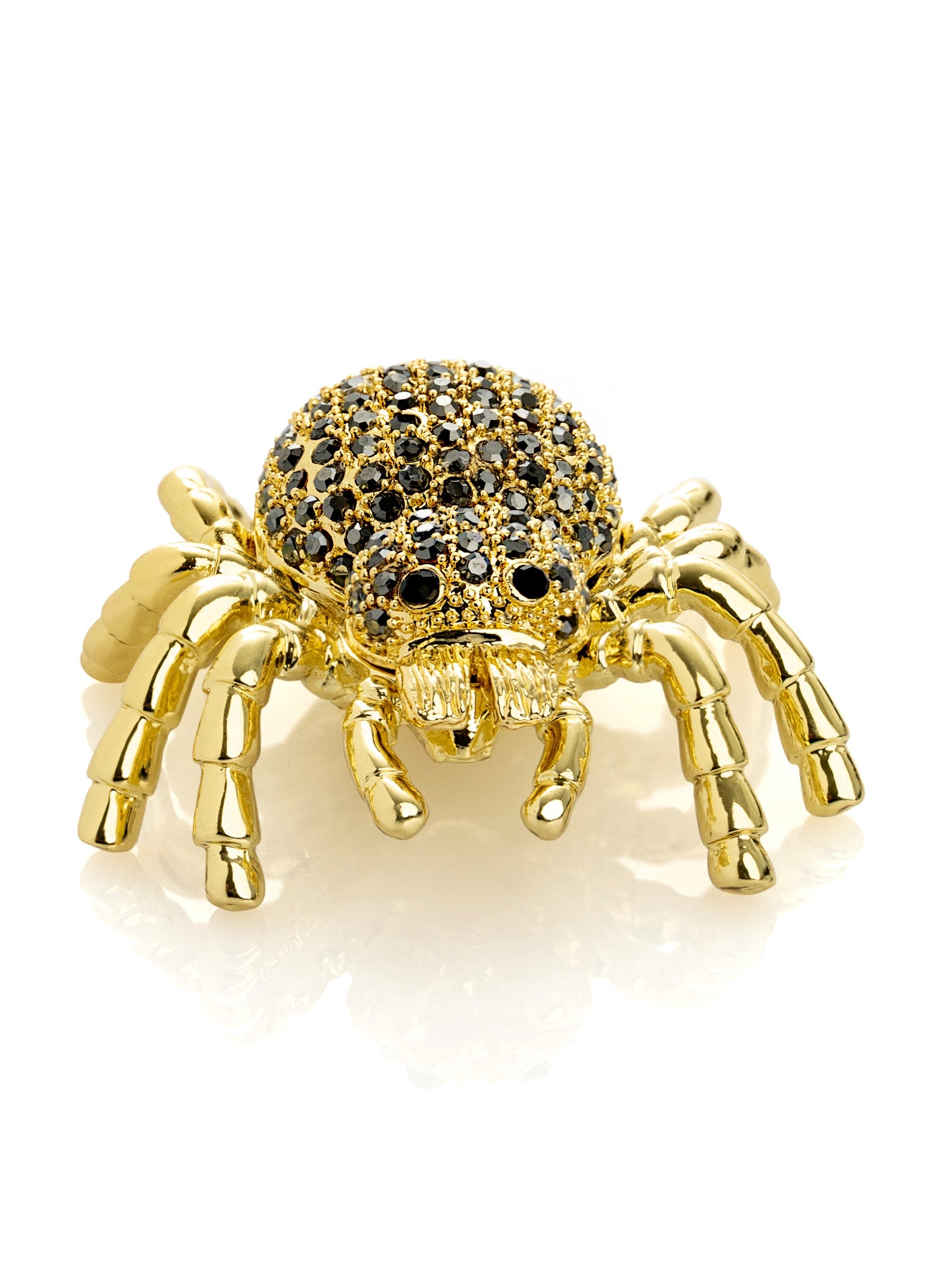 Gold & Black Tarantula Spider-3