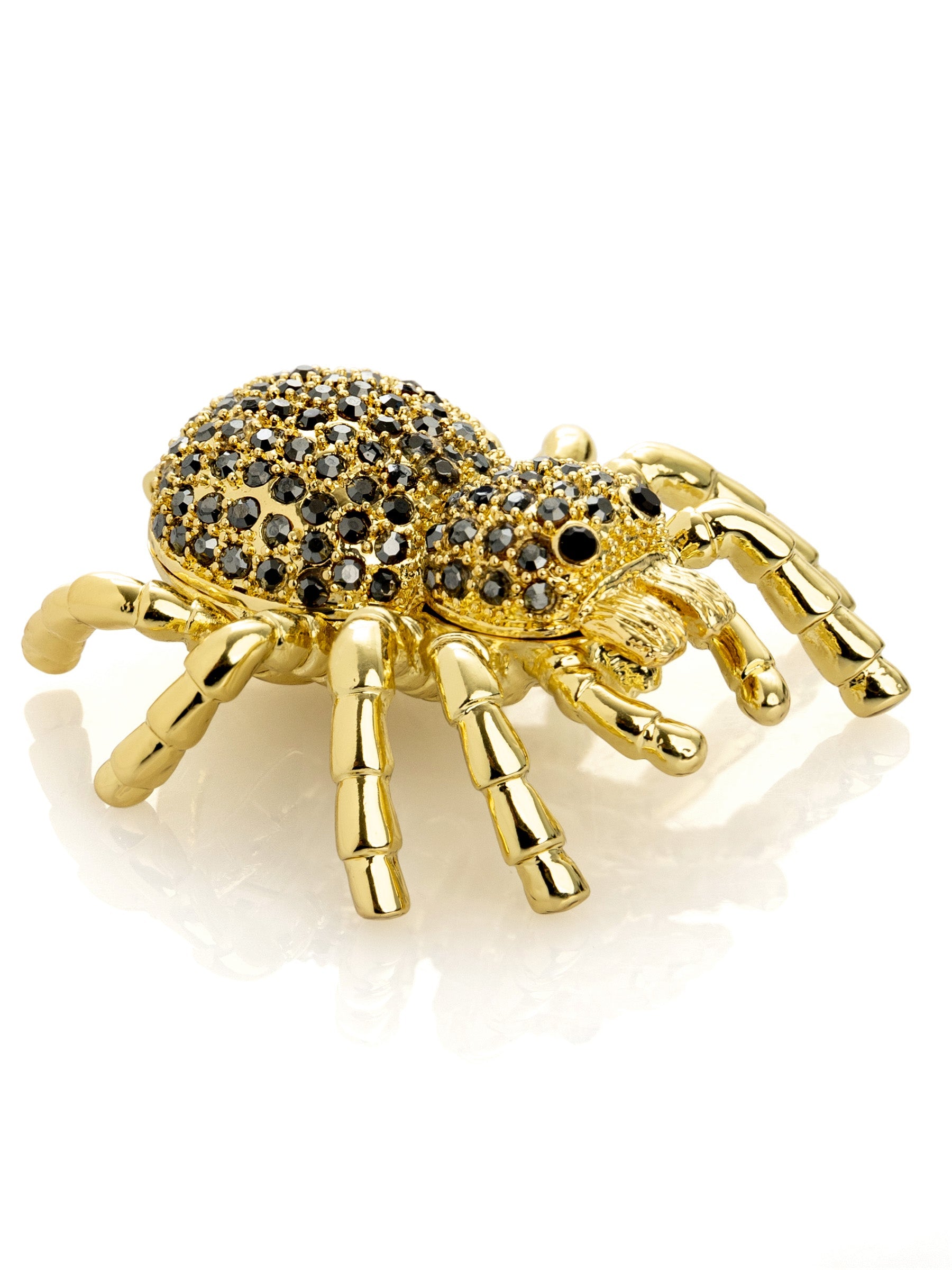 Gold & Black Tarantula Spider-5