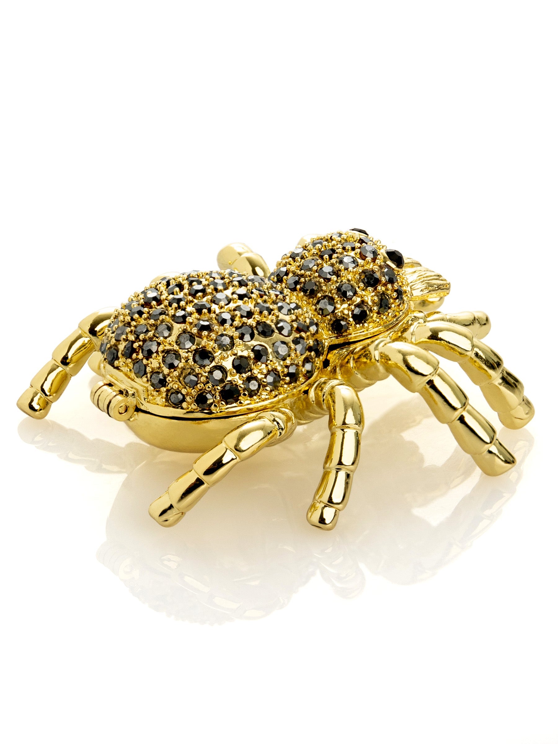 Gold & Black Tarantula Spider-6