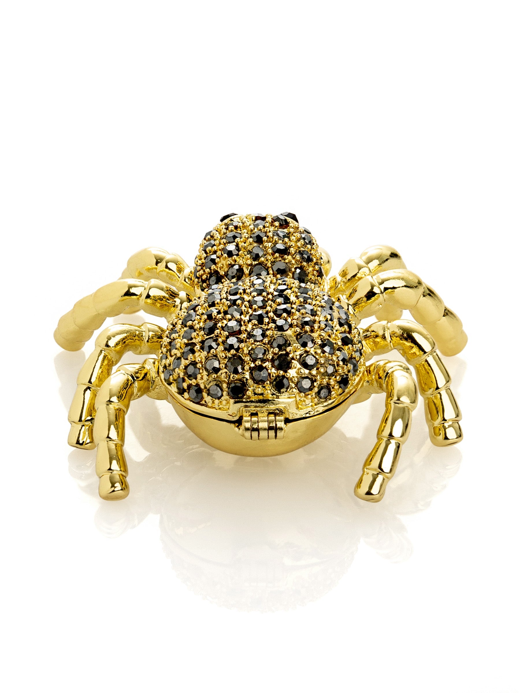 Gold & Black Tarantula Spider-7