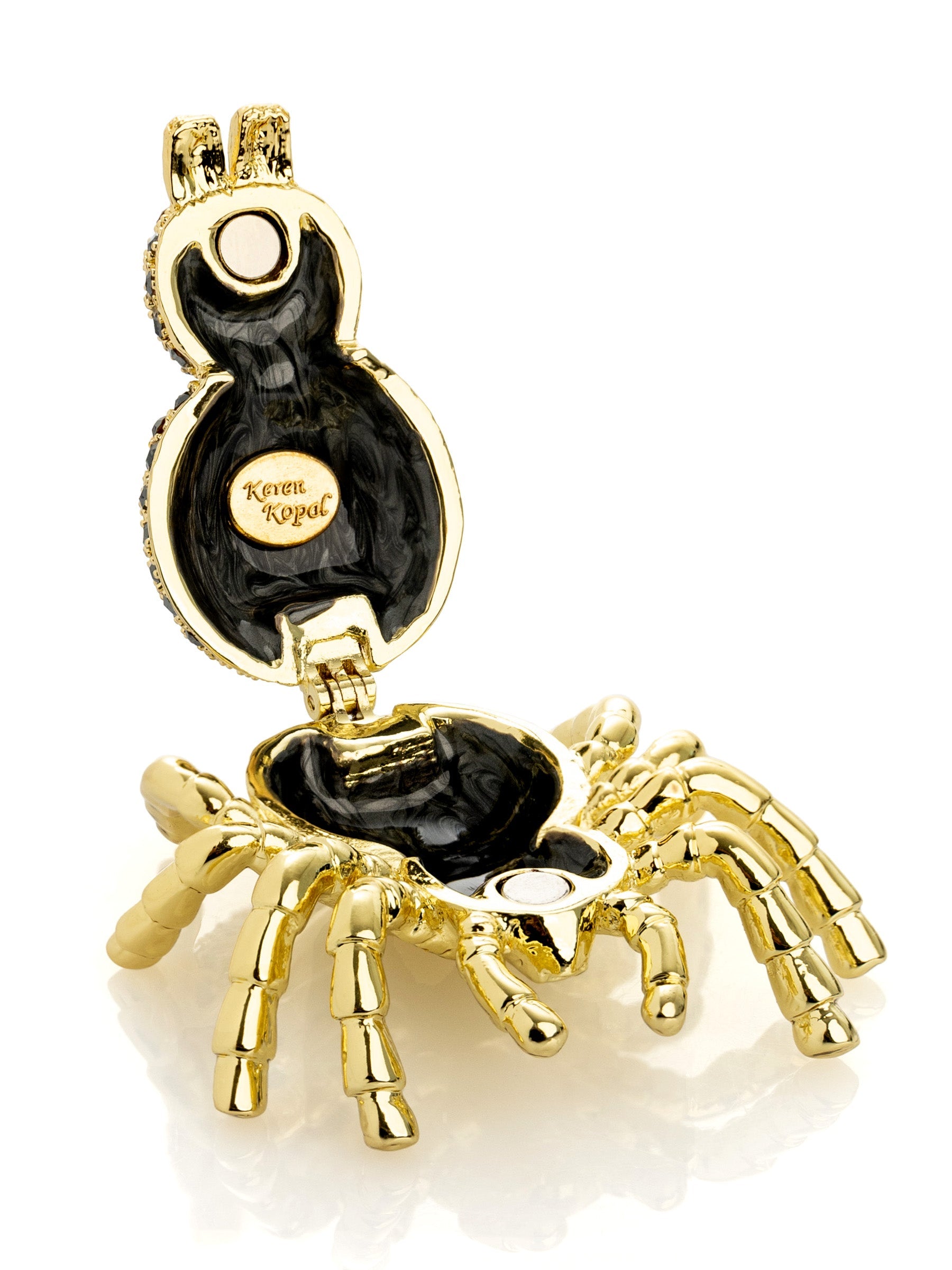 Gold & Black Tarantula Spider-8