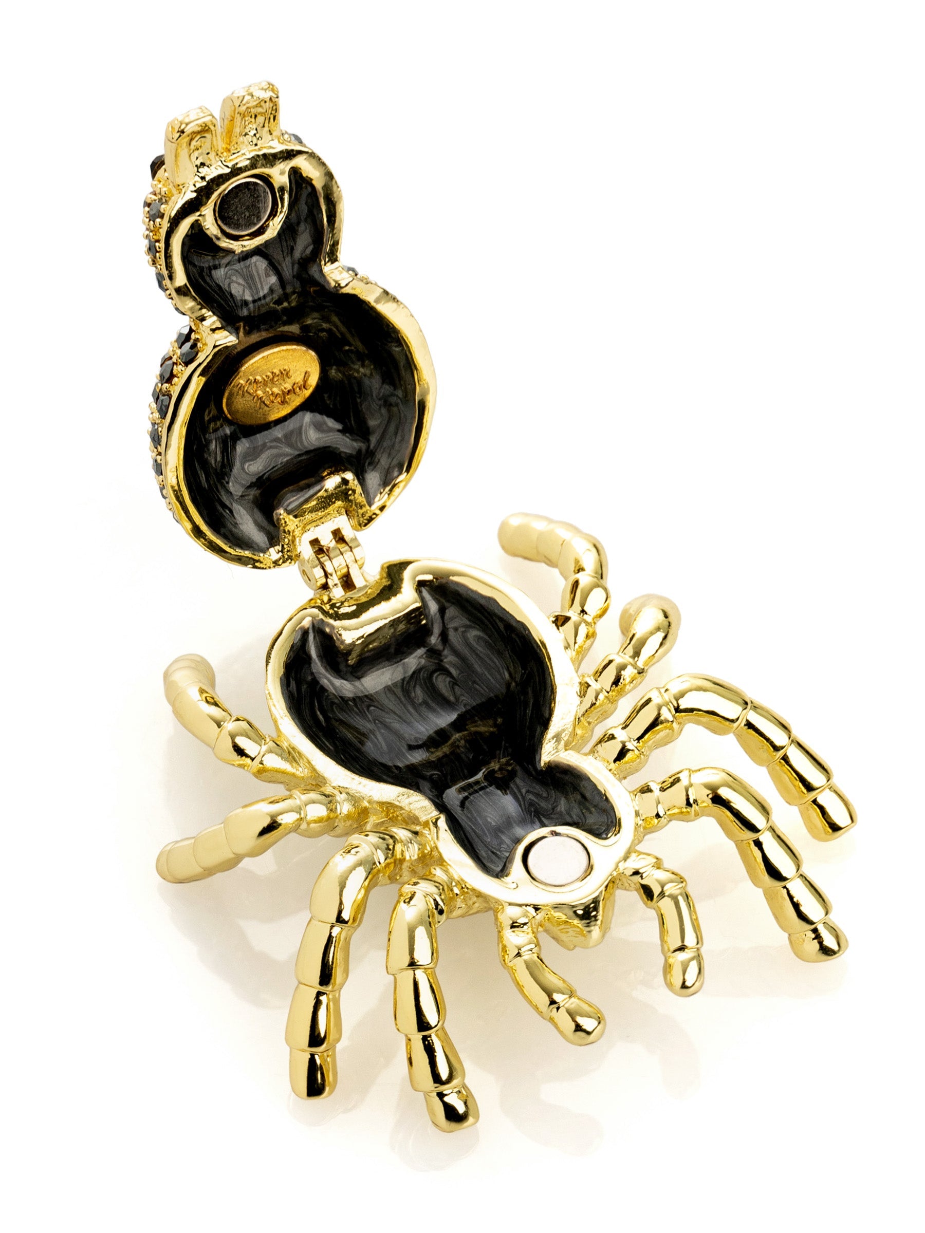 Gold & Black Tarantula Spider-4