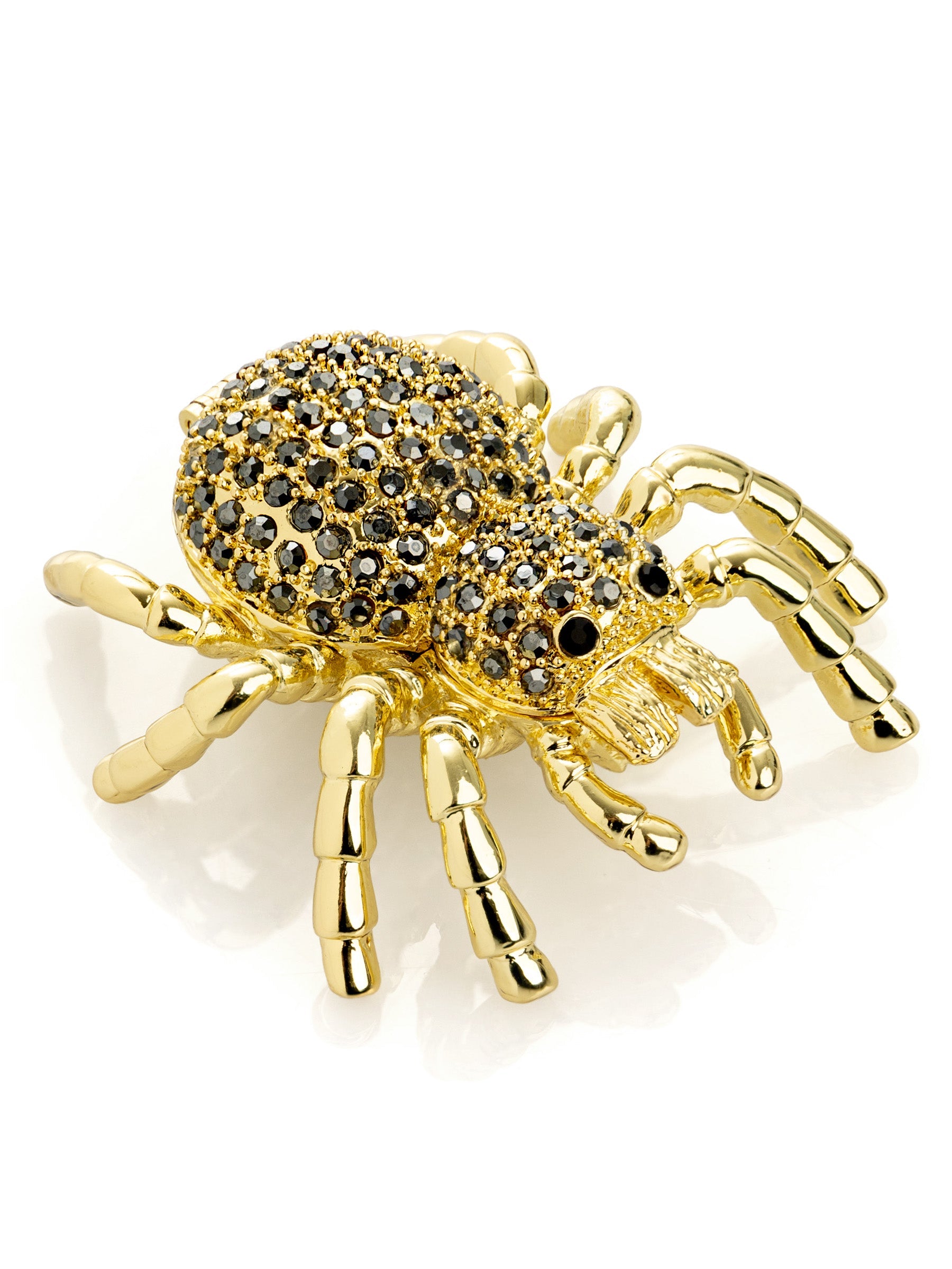 Gold & Black Tarantula Spider-0